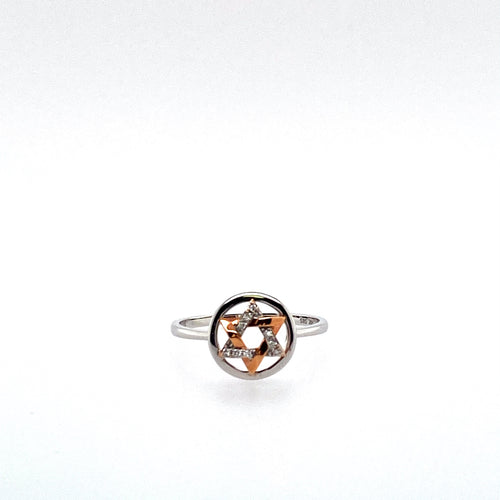 This Dainty 14 Karat White Gold Ring Features a White Gold and Rose Gold Star of David set into the Center. Diamonds are set into the White Gold Section of the Star of David. Total Diamond Weight .06 Carat